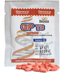 GP T3